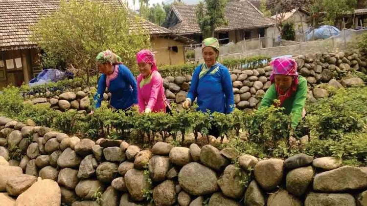Giữ hồn văn hóa nơi đại ngàn Lai Châu