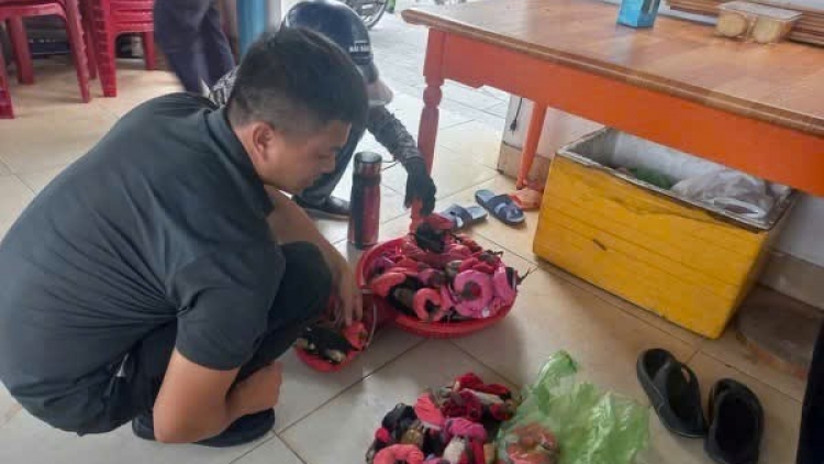 NẮM SLE MÌ VIỂC KHAI PU PJÀNG MJẠP DÚ BÚNG LỈN LIỂU ĐỒ SƠN, HẢI PHÒNG