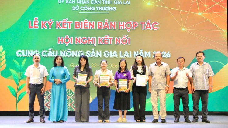 Gia Lai pơtrut pơlir gơnam đang hmua hăng bruă sĭ mơdrô phrâo 