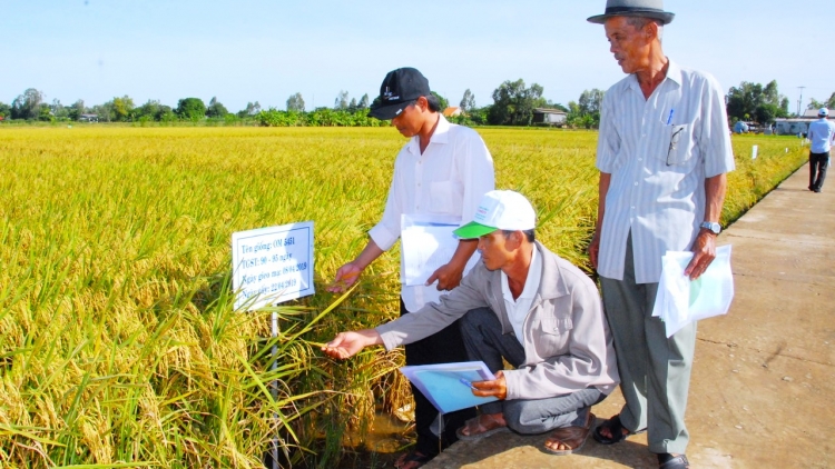 កសិកម្មមានកំណើនពីរខ្ទង់៖ មិនមែនគ្រាន់តែដេញតាមបរិមាណផលិតកម្មនោះទេ។