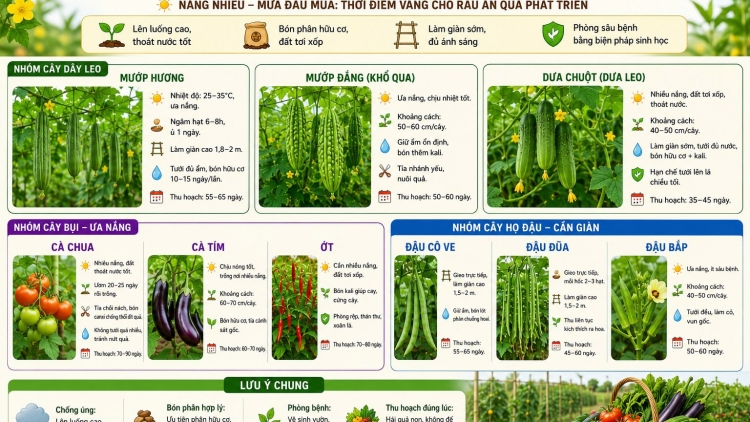 SLẮNG CẠ CHAY BẠI THÌNH PHJẮC MÁC CHANG BƯƠN 5
