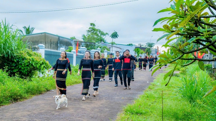 Bóng cây Kơnia