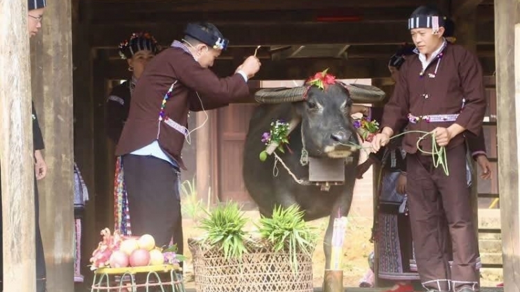 CẦN LỰ PÀI KHOĂN VÀI