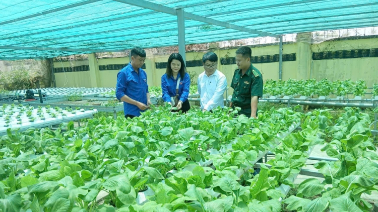 យុវវ័យរួមកម្លាំងកសាងស្រុកភូមិត្រាកូន ខេត្តវិញឡុង