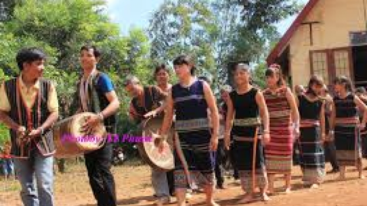 Tơdah  tơ mối