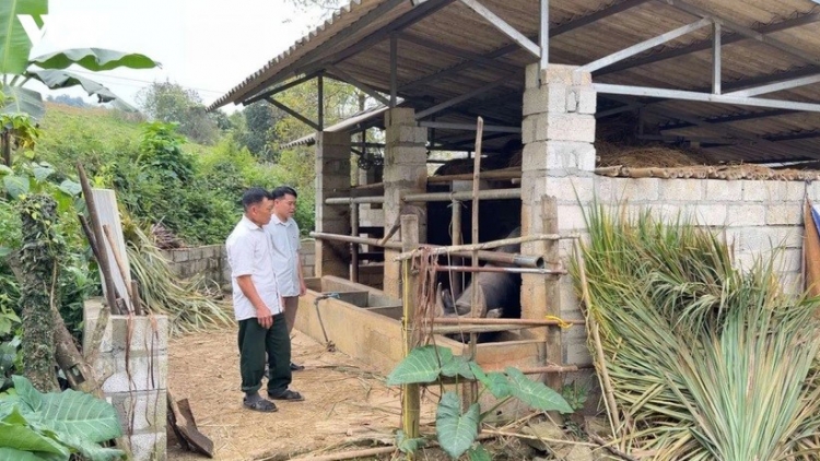 Nông dân Cao Bằng phát triển kinh tế từ mô hình tổng hợp