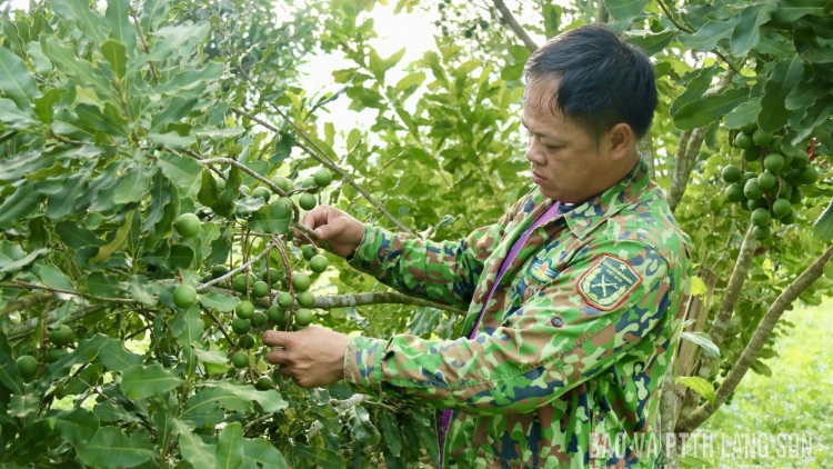 CỰU CHIẾN BINH ÓN DÚ LẠNG SƠN HẾT KIN HÍU