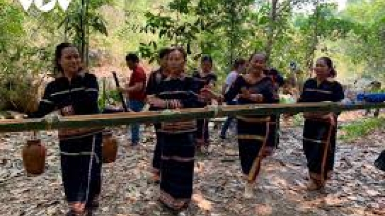 Hãy giữ đất rừng