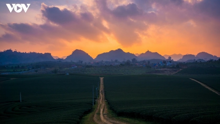 Hãy giữ đất rừng 