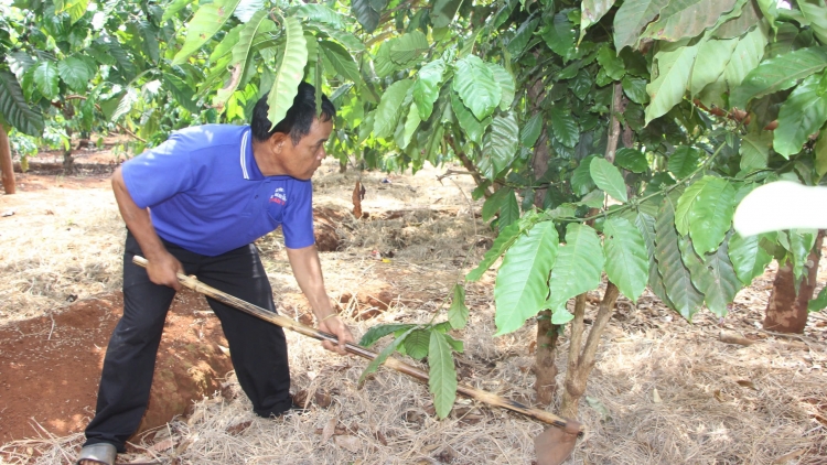 Gia Lai kơjo xing xoăng tơnêi pêt mơjiâng tơmeăm ăm rơpŏng kơtiê ƀă vâ chê kơtiê hdroâng kuăn ngo
