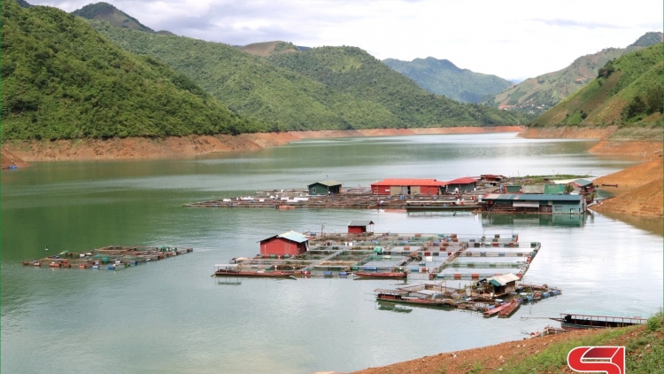 Tênhz pêz xiêuz mảng khza blỉeo ziêm thóng lùng tùi bluỷnh khzuất lổ