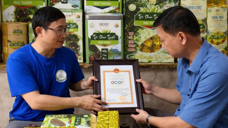 Người góp phần nâng tầm chè Shan Tuyết vùng cao Thái Nguyên