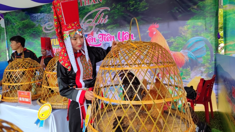 PỈ NOỌNG HẾT RẨY NÀ SLẢNH QUẢNG NINH CHƯỚNG BẢN CỎN AN ỎN, SLÂƯ ĐÂY SLE RẲP KHÉC