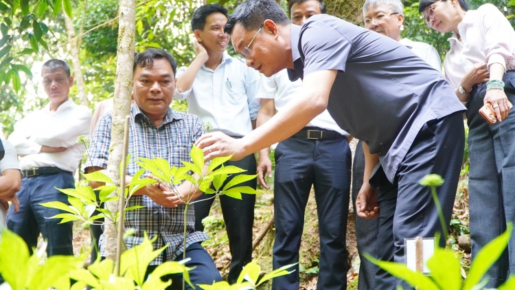 CR’ĐƠƠNG DƯR ZI LÂH ĐHA RƯT, PRANG VÊÊL ĐÔNG VAIH TỶ PHÚ