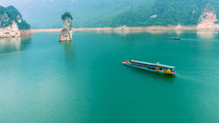 DƯƠNG CHỒM TẢ GÂM DÚ TUYÊN QUANG