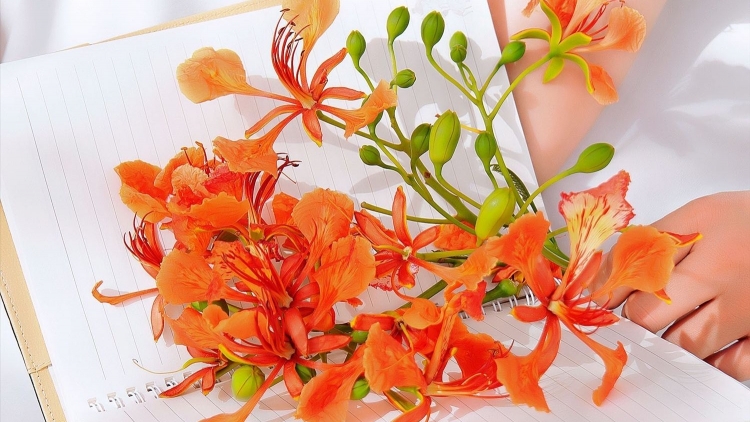 CHƯƠNG TRÌNH KHAY HENG TÀY - NÙNG (Thứ Năm, vằn 11 bươn 6 pi 2026)