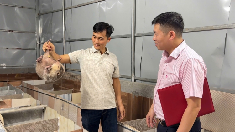 CAO BẰNG: PANG CHỎI CẦN LẸO SLÌ NẲNG LƯỜN XĂNG HÒI MÀ ĐẢY DIM CHÈN CỐC SLE HẾT KIN