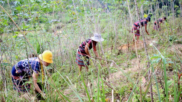 ĐHỊ ZA NƯƠR ĐOỌNG ĐHA NUÔR PA DƯR TR’MÔNG TR’MEH