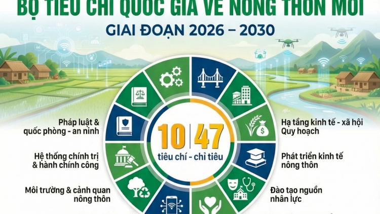 Lầy tzình phát sinh ìu miền vả hoi 28.7.2026
