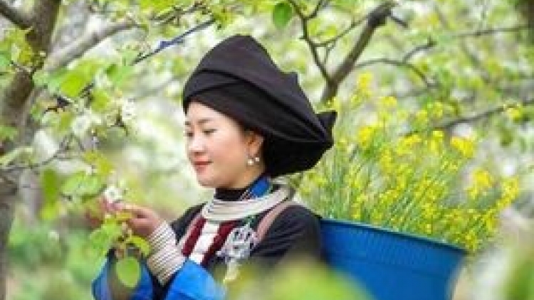 Lầy tzình phát sinh ìu miền vả thứ 5 hnoi 23/7/2027