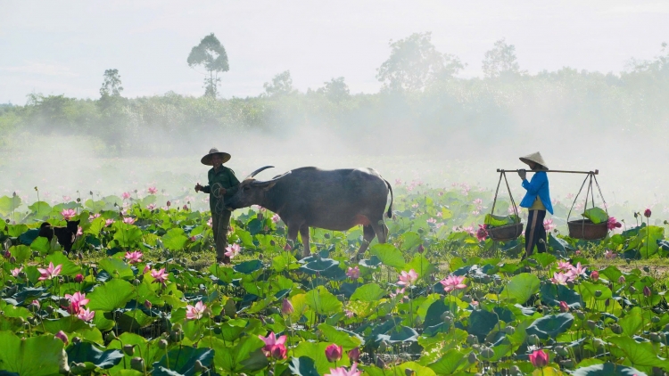 CHƯƠNG TRÌNH KHAY HENG TÀY - NÙNG (Thứ Tư, vằn 29 bươn 7 pi 2026)