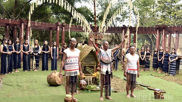 Jơnau đơs pơn đik kòn cau K' Ho