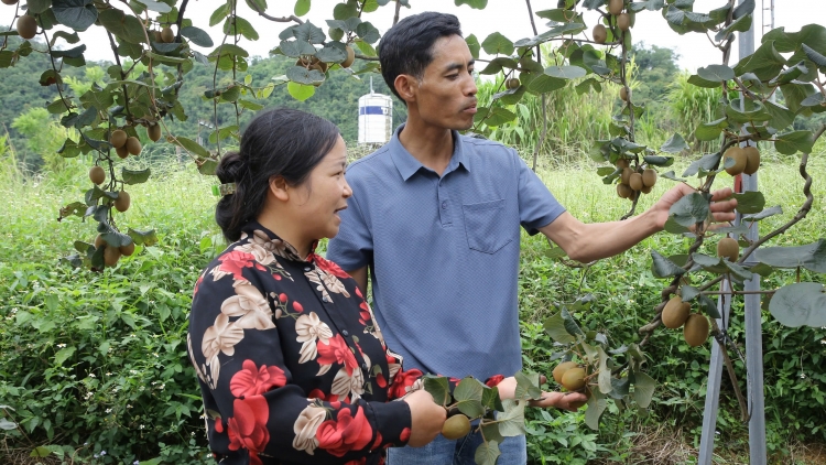 Ngon tô thứ 7 mự 18.7.2026 – Sơn La: Mua mák nẳng phổng xùng Mộc Châu