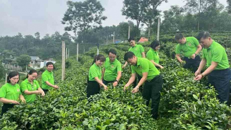 Thái Nguyên kỳ vọng bứt phá du lịch từ liên kết vùng