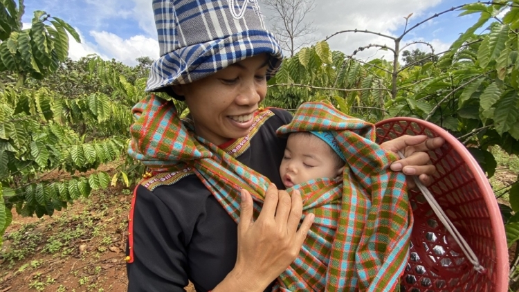 Jờng rơ cau ùr tam tờm đềs ruồi brài