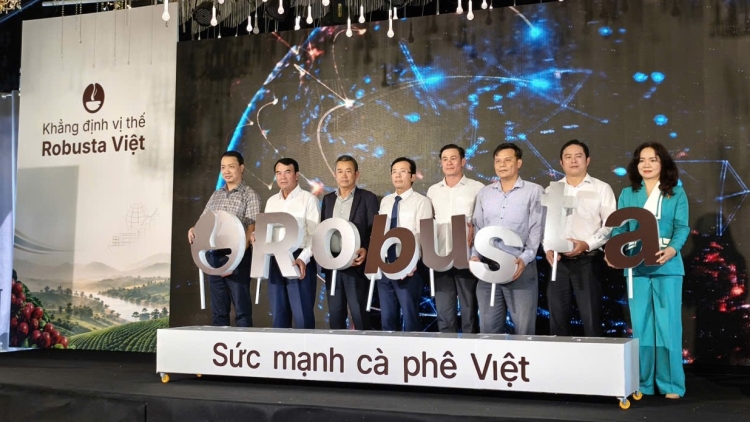 Tơngguh uă bơta niam kơphê Robusta Việt Nam bơh chờm tơn nàng đơs nền anih ơm gùt plai ù 