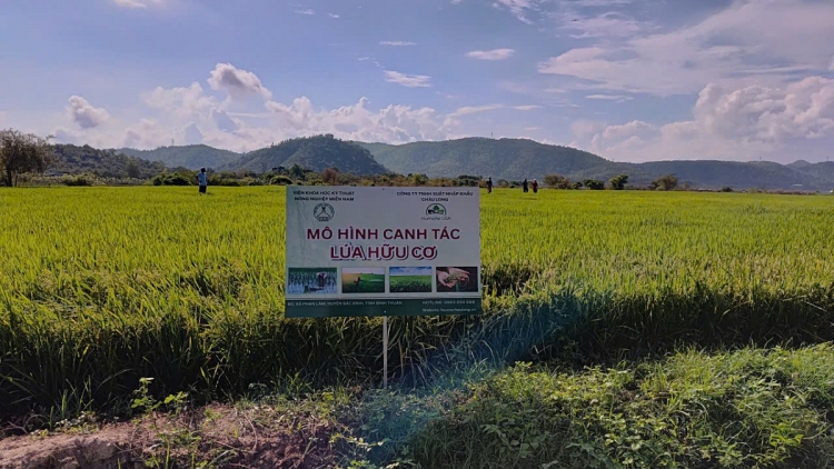 Pơđĭ tui anŏ yom pơdai čăm, pơdai bla hăng djă pioh gru grua djuai ania