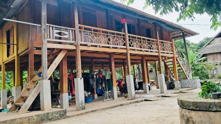  SLOONG ĂN ĐUÂY DÚ LƯỜN CHẠN CÚA CẦN THÁI
