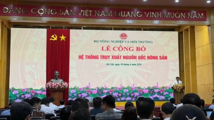 TÀNG TIỂM NGÒI CỐC CO BẠI THÌNH CÚA ĐĂM CHAY