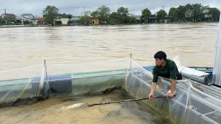 CHƯỚNG TẺO BẠI DOÒNG LIỆNG PJA LĂNG XÁ PHÂN NOÒNG