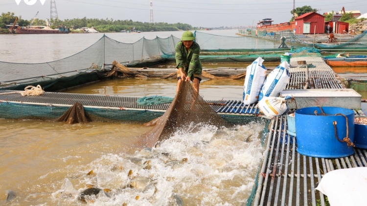 SLON PANG LIỆNG PJA ĐẢY ĐÂY