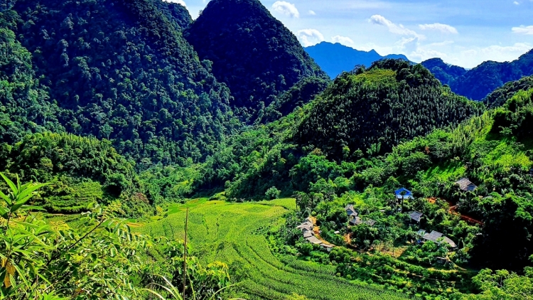 SON BÁ MƯỜI CHANG ĐÔNG NGẢN PÙ LUÔNG, THANH HÓA
