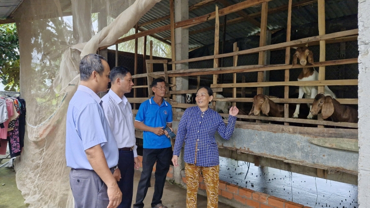  "ចិញ្ចឹមពពែ - បន្ថែមរបររកស៊ីបង្កើនប្រាក់ចំណូល"