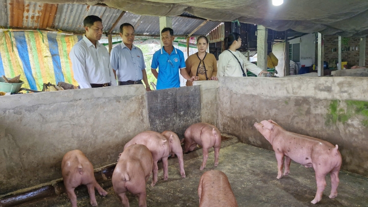 ទុនអនុគ្រោះជំនួយកម្លាំងកសិករក្នុងការអភិវឌ្ឍសេដ្ឋកិច្ច