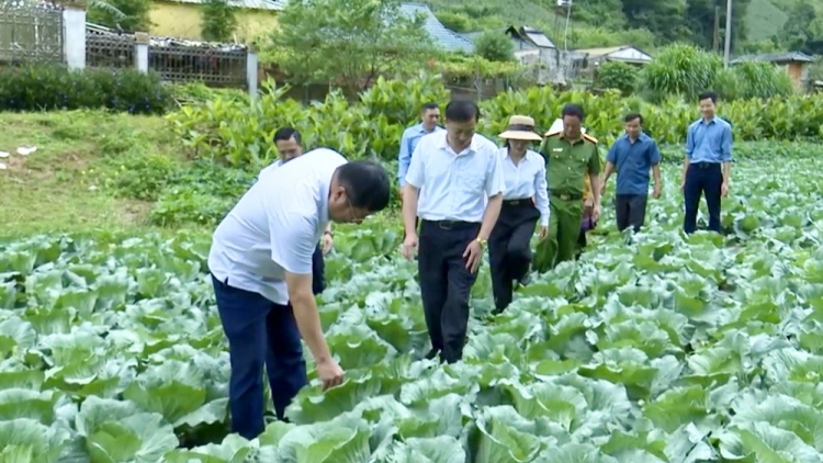  Chường trình phát thành quam Tay thứ 6 mự 07.8.2026