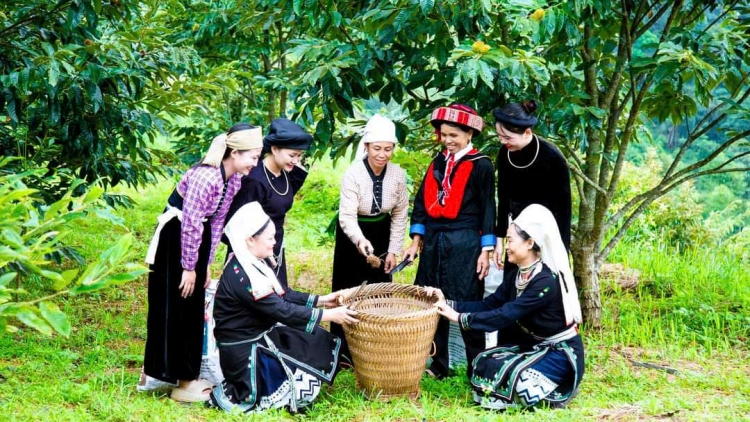 MÁC LỈCH NGÂN SƠN: CHAY DÚ CHANG SLUÔN PỀN THÌNH CÚA OCOP