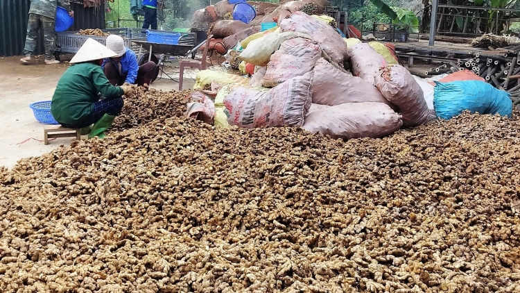 Ngon tô thứ 5 mự 06.8.2026 – Nhinh dược sĩ chựa côn Mương tánh tăm vịa dệt dượn té cò dà