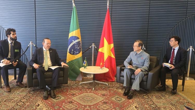Khul tang măt ăn Đảng Cộng sản Việt Nam năm ngôi păng bơ̆jang tơ̆ Brasil