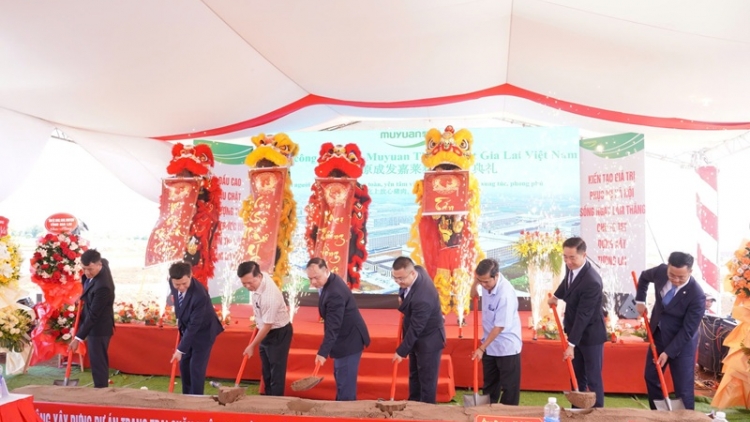 Gia Lai iŏk đei hloh 175 triệu USD jên tơmơ̆t jang đơ̆ng Trung Quốc