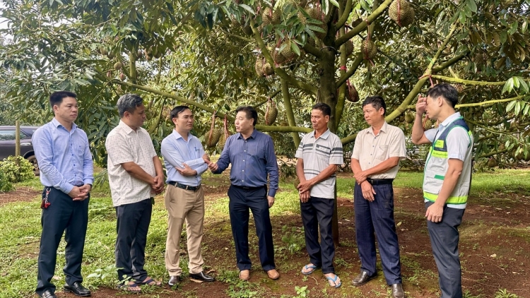 Đắk Lắk hŏk pơhrăm ƀơk ăn mã kơsô̆ tơring pơtăm kiơ̆ trong tơchơ̆t ‘nao 