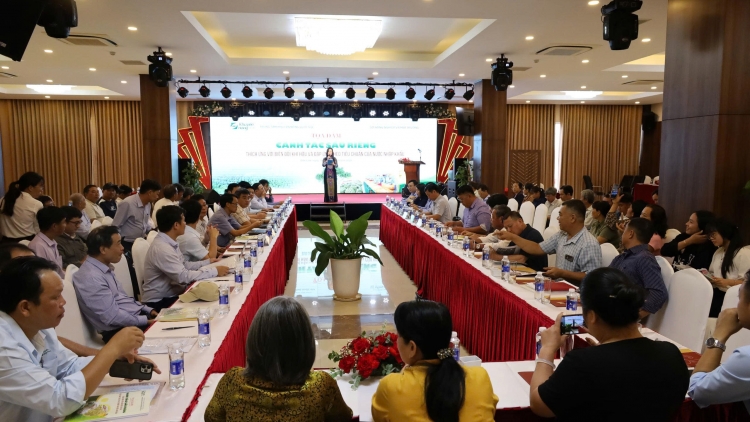 Thay đổi phương thức canh tác sầu riêng, đáp ứng tiêu chuẩn xuất khẩu