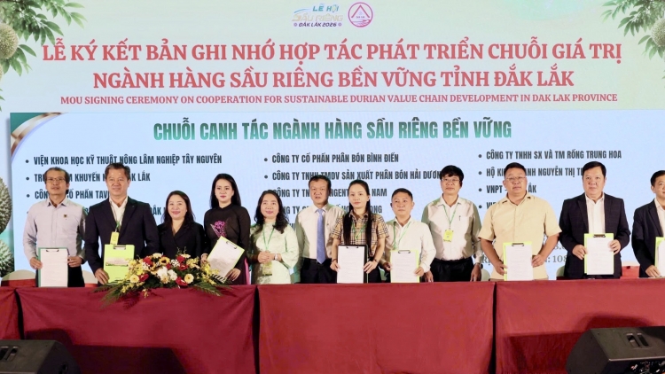 Giăm 9000 êklai prăk ƀuăn rơ̆ng bi liê hlăm hdră ênoh yuôm durian Dak Lak 