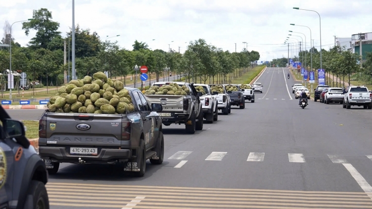 Dak Lak mđing kơ Klei êdah kdlưn Guinness dlông rŏng lăn čiăng hưn mdah anăn knăl durian 