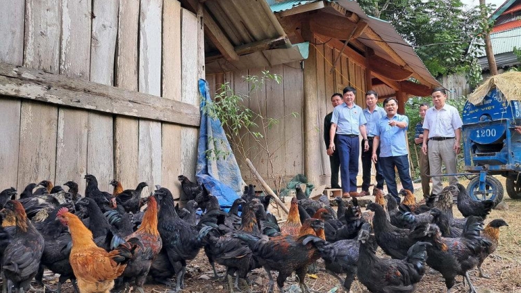 TÀNG DƯỞNG LIỆNG CÁY ĐĂM KHAI TẢY CHÈN