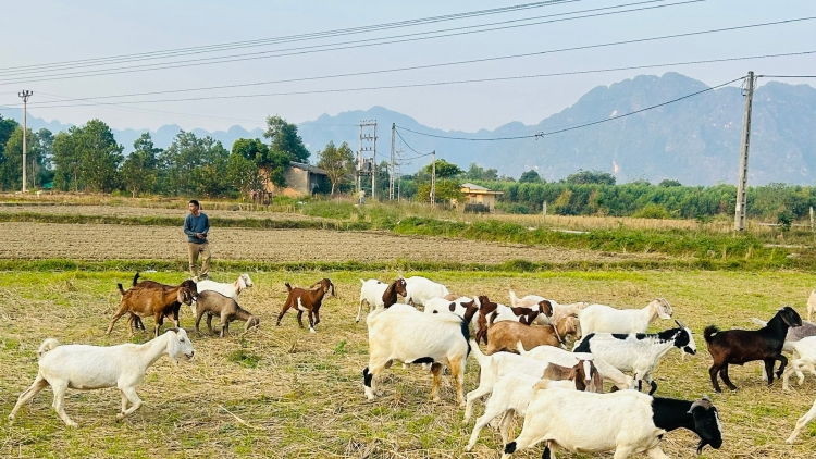 LẠNG SƠN: HẾT KIN ĐÂY PJOM MÌ KHAU PÙ QUẢNG 