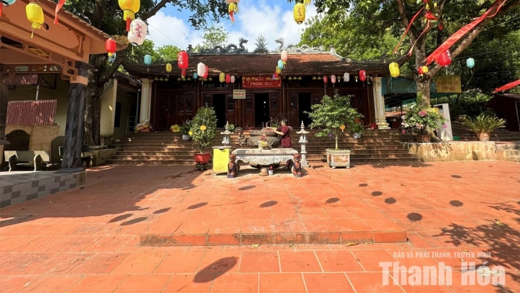 PÂY DƯƠNG PHONG MỤC CHĂN ĐÂY DÚ THANH HÓA